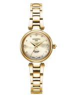 Dreamline Diamonds 28mm Quartz Three-Hand Champagne Dial Gold Bracelet